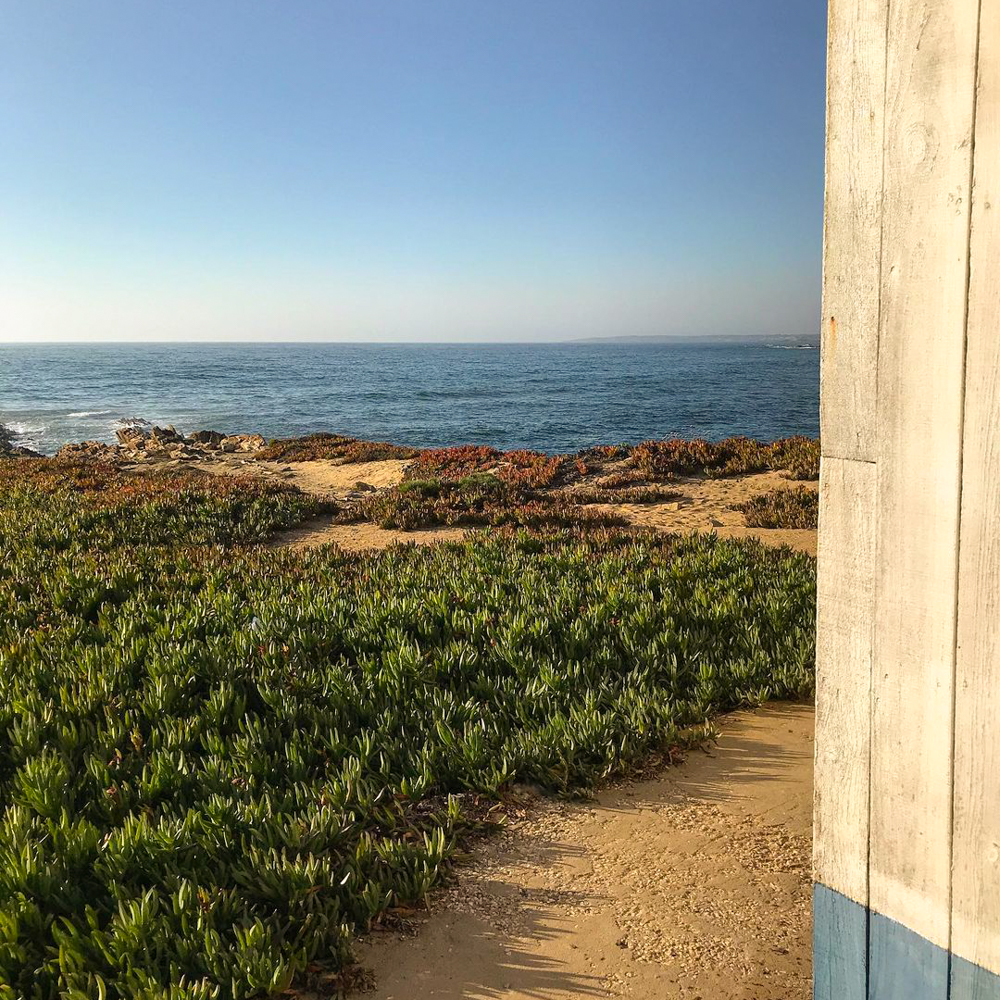 Le Yoga Chalet en été